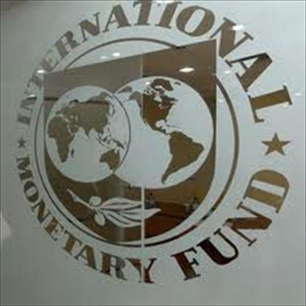 Fondul Monetar Internaţional în vizită la IFPS