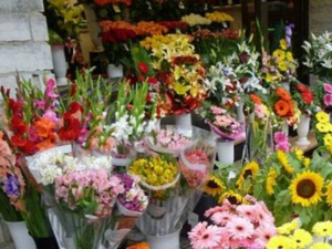 În atenția comercianților de flori!