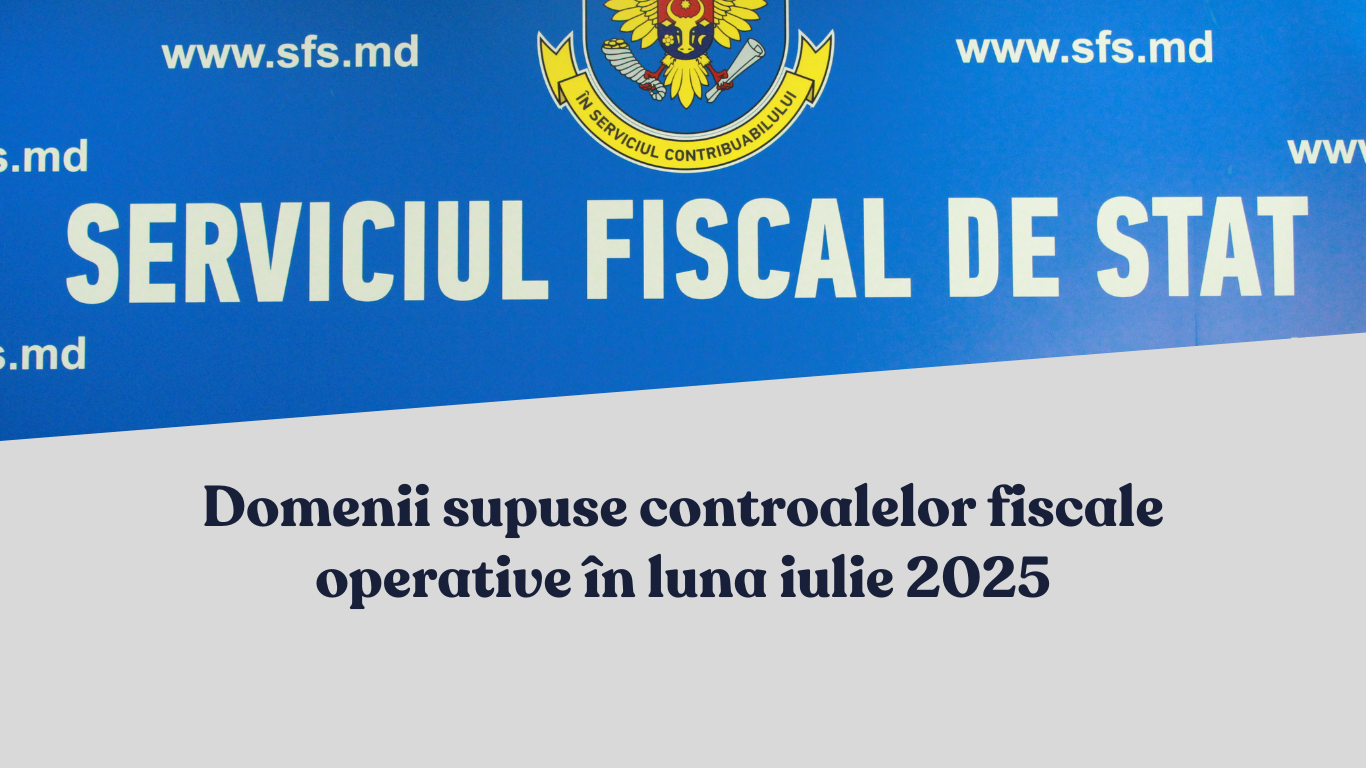 Domenii supuse controalelor fiscale operative în luna iulie 2025