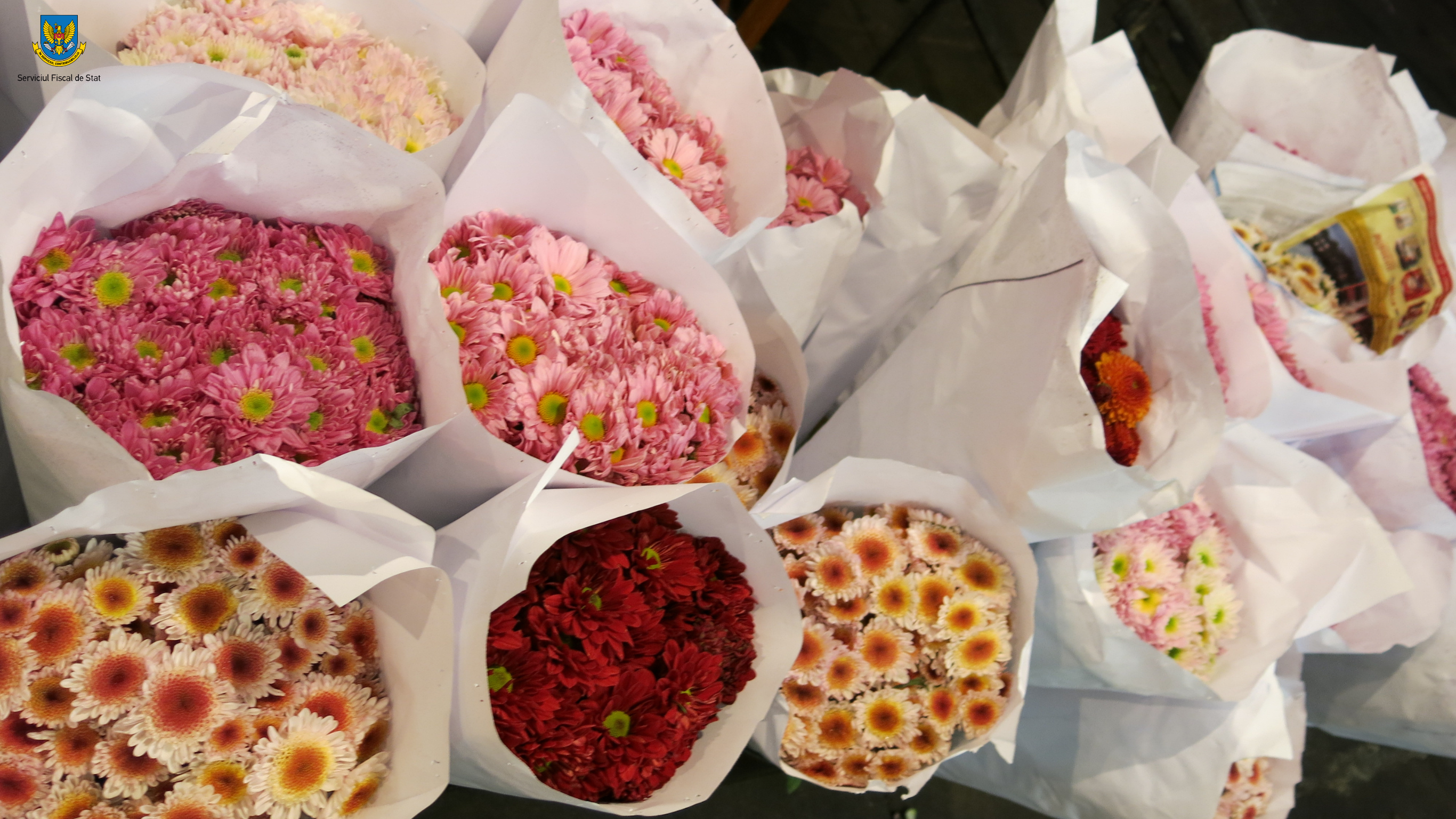 Serviciul Fiscal de Stat monitorizează activitatea de comerț cu flori în perioada 31 august – 01 septembrie 2025